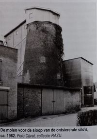 Molen 1982